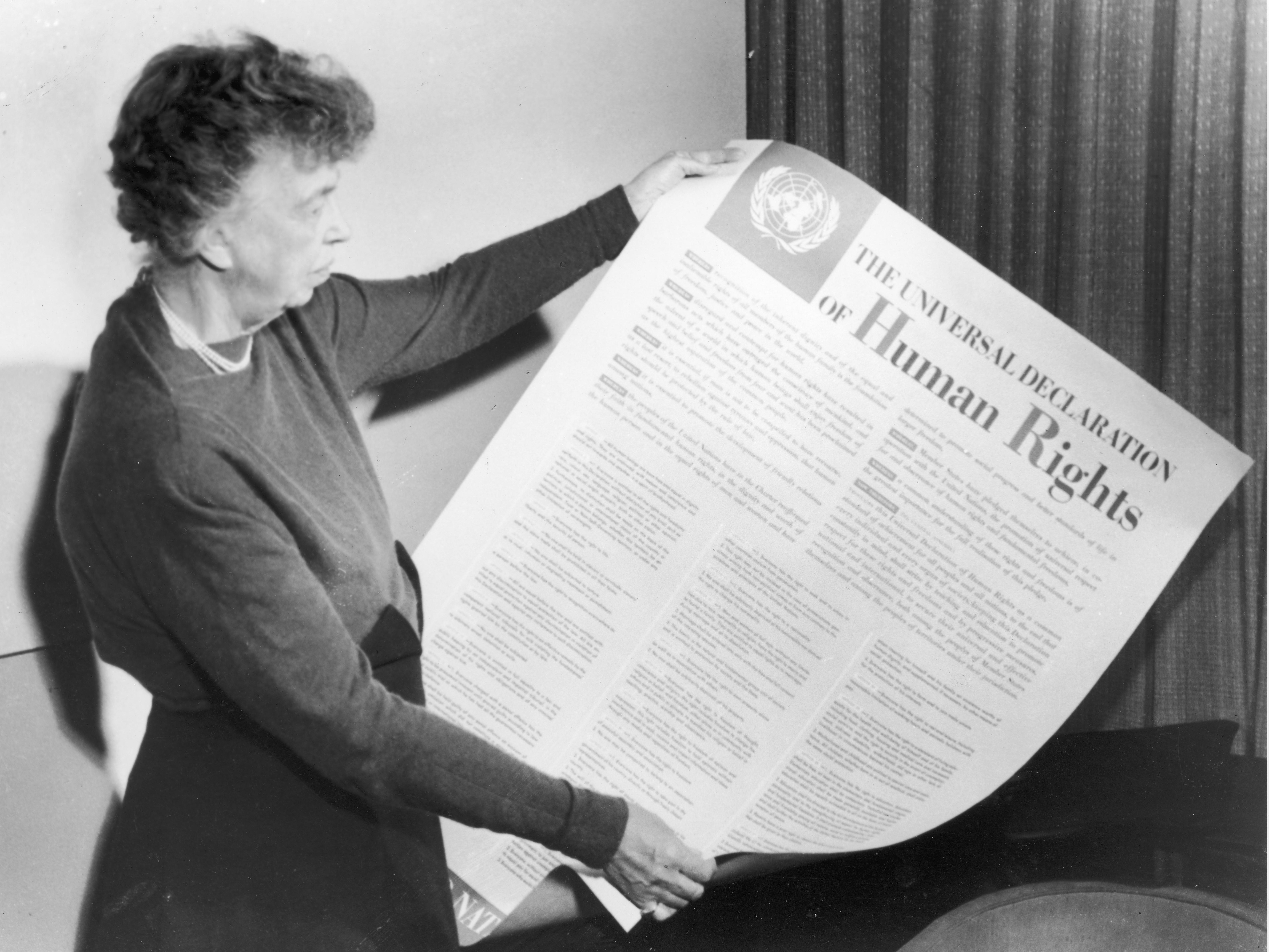 Boundlessly Idealistic, Universal Declaration Of Human Rights Is ...