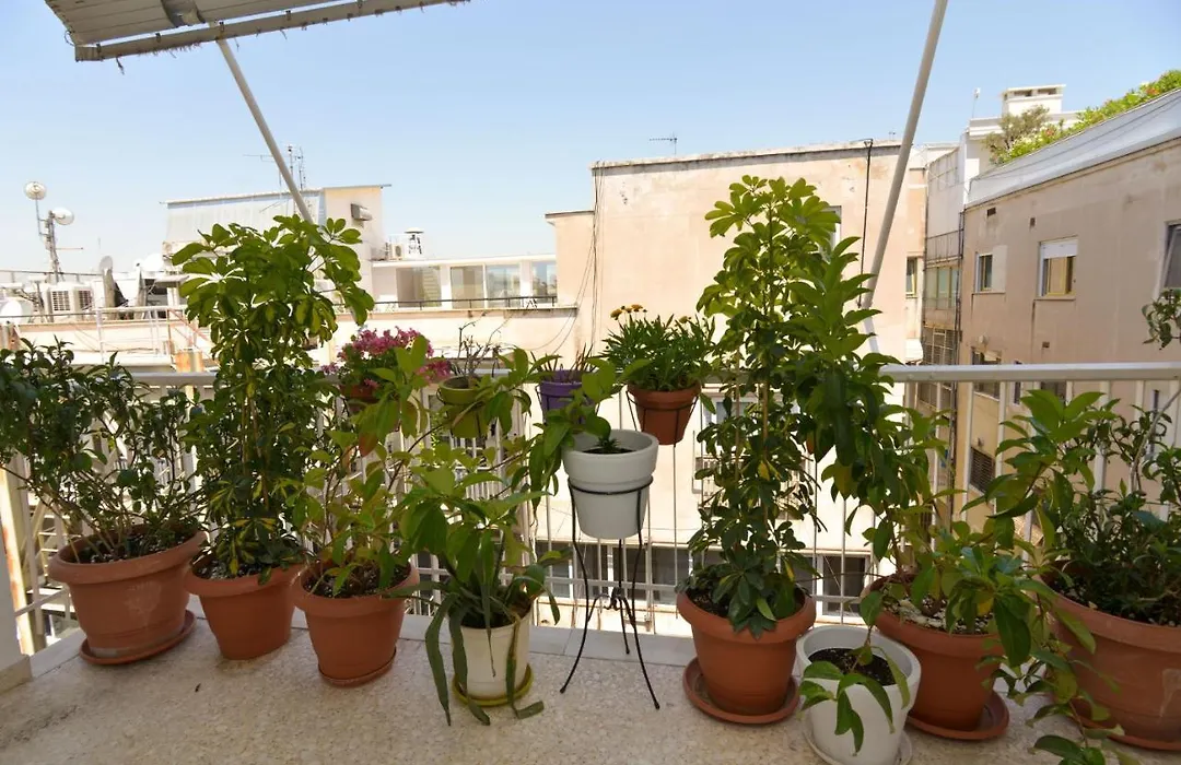 Athens Stylish Top Floor Apartment Syntagma Metro-1