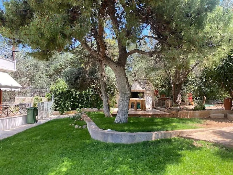 Villa Reina On The Hill Of Vouliagmeni-1