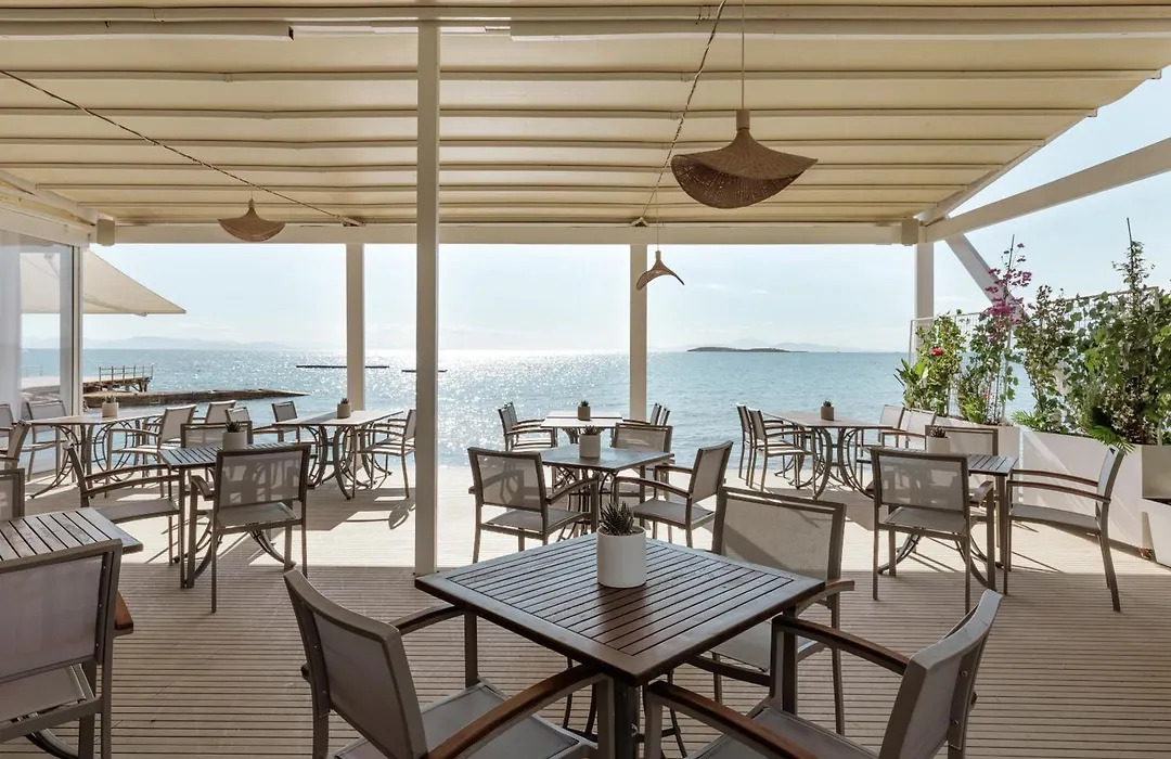 Divani Escape - Adults Only-1