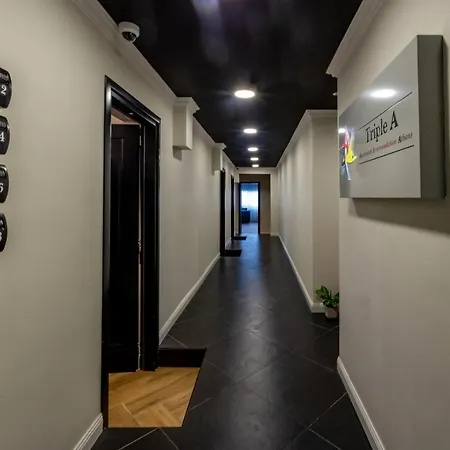 Triple A - Prime Location - Between Monastiraki & Syntagma Square-Free Parking!-2
