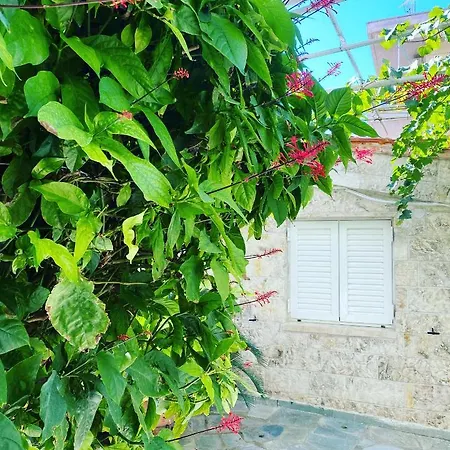 Little Cottage-2