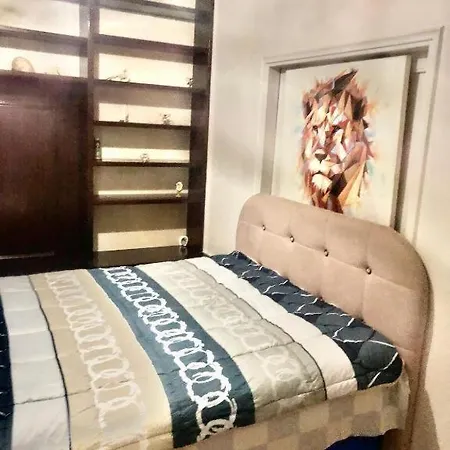 Economy Shared Apartment E In Central Athens-3