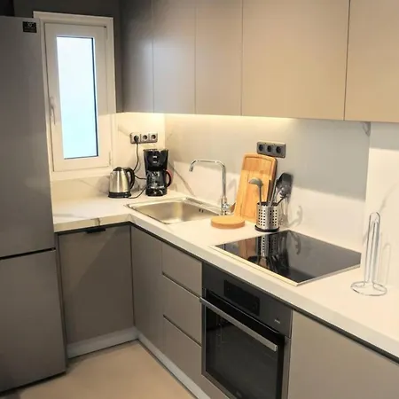 Luxurious Minimal Apartment In Acropolis-3