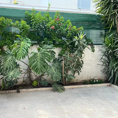 Spacious 2-Bedroom House With Terrace In Attiki Peristeri 80 M2 Quiet Residential Area, Easy Access To Hospitals-2