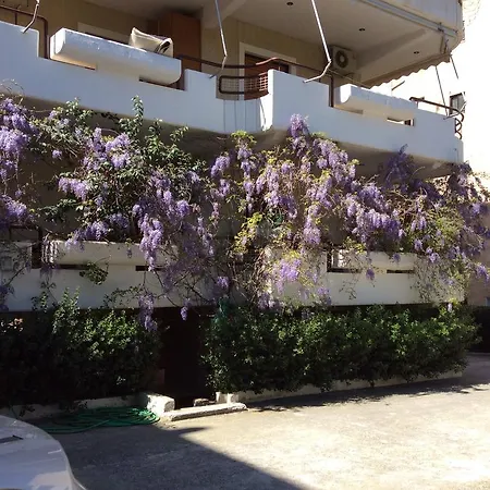 Filyra Homestay-2