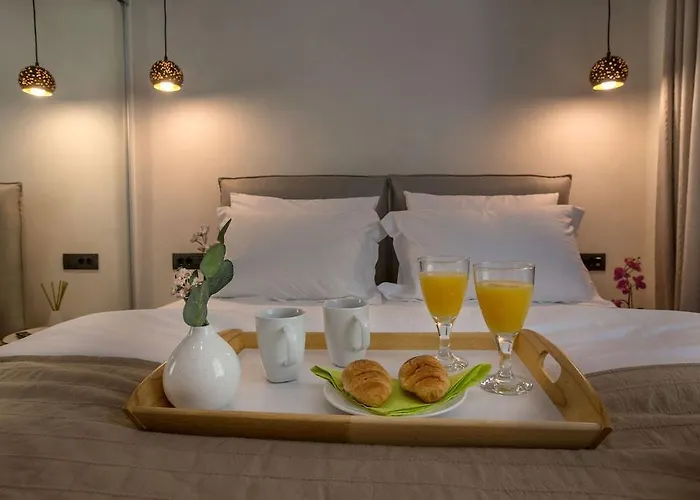 Nikis Suites Syntagma-Plaka By Ghh Atenas admite animales